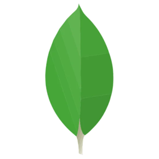 MongoDB